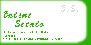 balint setalo business card