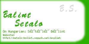 balint setalo business card